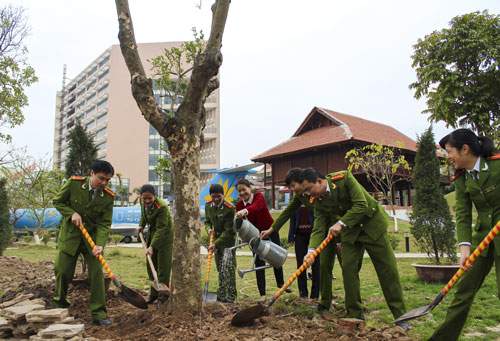 Cán bộ Trung tâm TPH&ĐTTP trồng cây nhân dịp đầu xuân 2014